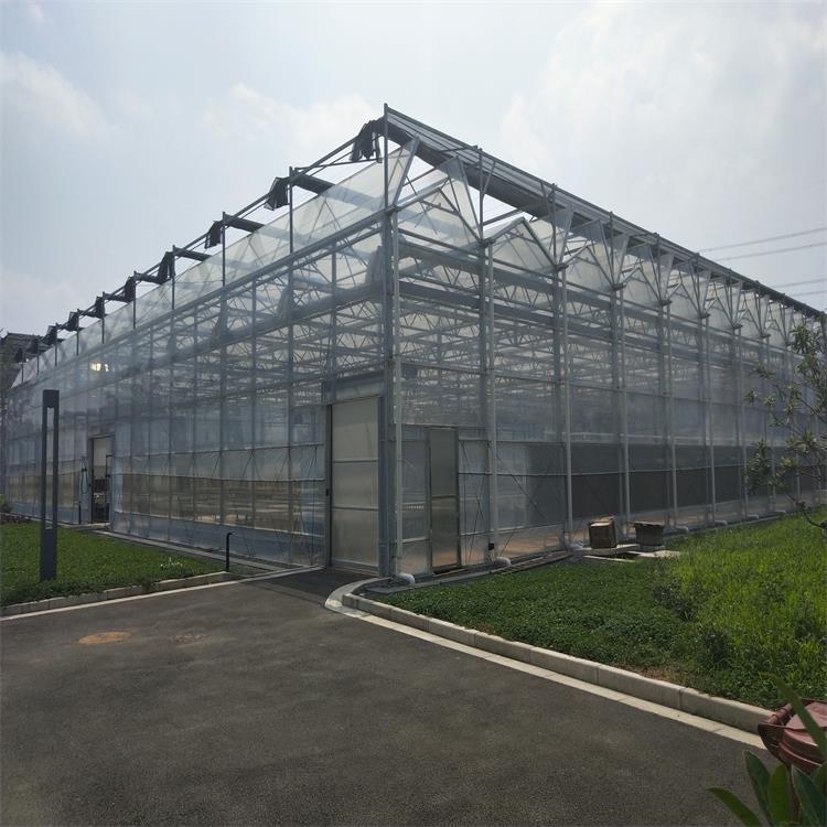 新技术玻璃大棚  温室材料生产厂家 温室安装 智能大棚直销安装