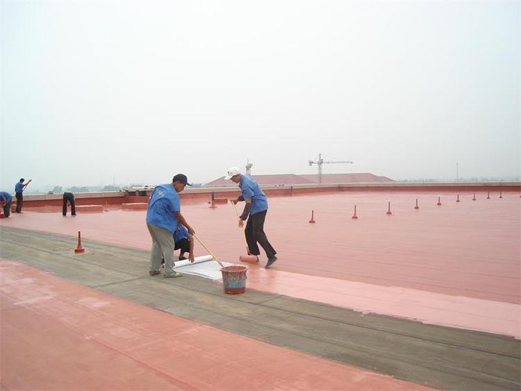 外露屋面高弹防水涂料 外露屋面高弹防水涂料供应商 防水涂料销售商