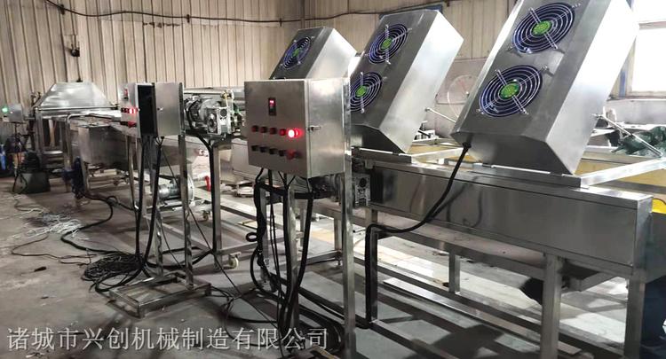 蔬菜清洗去泥机 土豆清洗机 厂家供应蔬菜清洗去泥机 土豆清洗机加工
