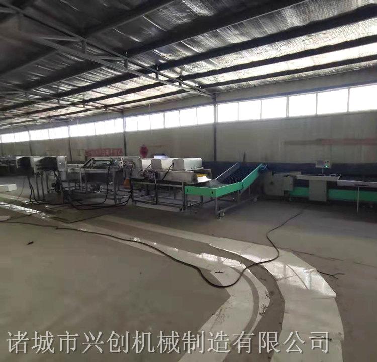 全自动果蔬清洗设备 大枣清洗机 山东全自动果蔬清洗设备 大枣清洗机价格