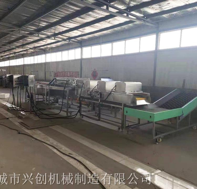 果蔬清洗机 红薯清洗机 厂家供应果蔬清洗机 红薯清洗机销售