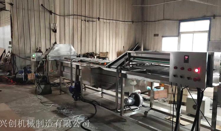 定制气泡清洗机 清洗果蔬根茎类蔬菜设备 一台清洗机得多少钱
