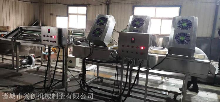 蔬菜清洗机 红薯清洗机 厂家定做蔬菜清洗机 红薯清洗机报价