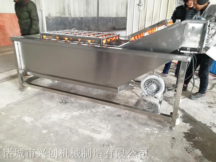 厂家直销果蔬类清洗机 蔬菜清洗设备 不锈钢清洗机报价
