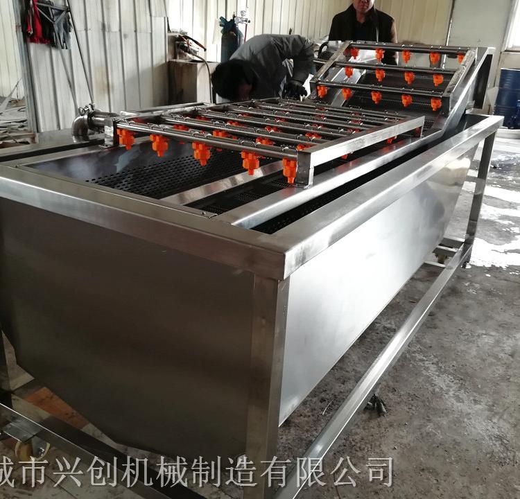 果蔬类清洗机 大枣清洗机 厂家供应果蔬类清洗机 大枣清洗机报价