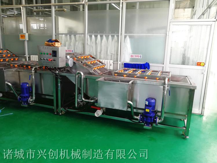 果蔬类清洗机 大枣清洗机 现货供应果蔬类清洗机 大枣清洗机供应商