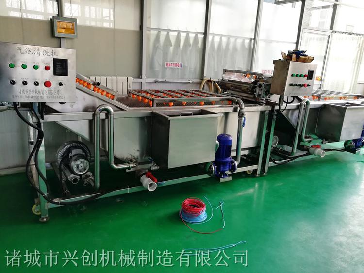 蔬菜清洗机 土豆清洗机 厂家供应蔬菜清洗机 土豆清洗机生产厂家