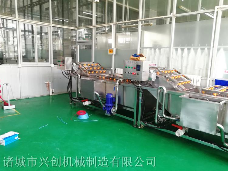 果蔬类清洗机 大枣清洗机 厂家直销果蔬类清洗机 大枣清洗机厂家