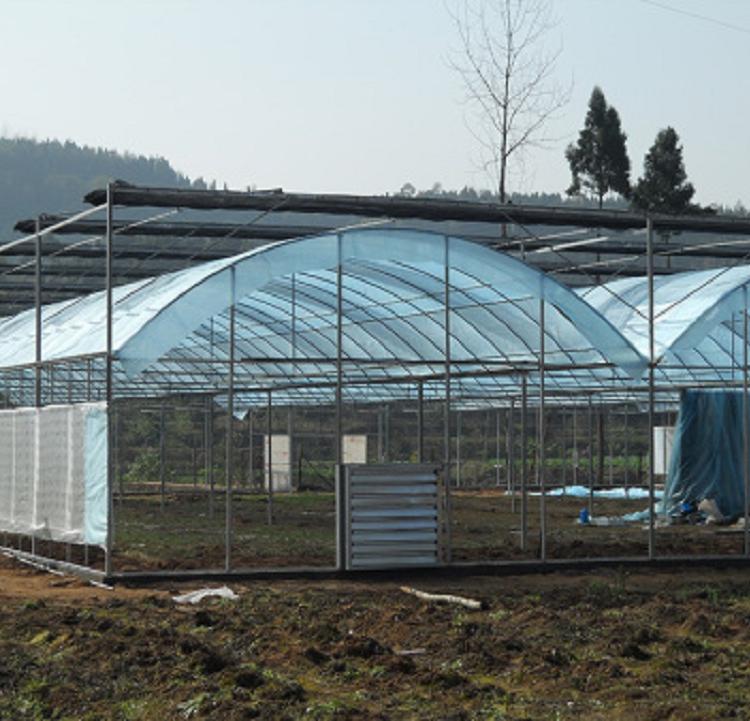 农业种植用连栋温室—益宸