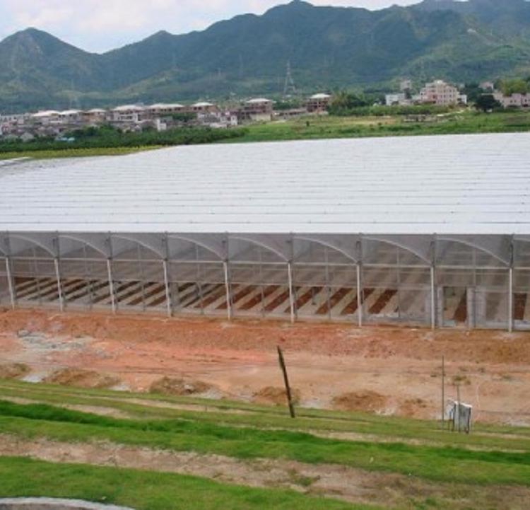 连栋温室大棚建设   山东温室大棚
