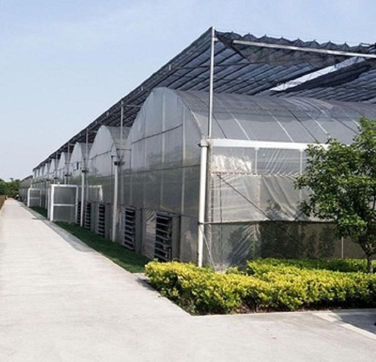 智能连栋温室建造 连栋温室价格