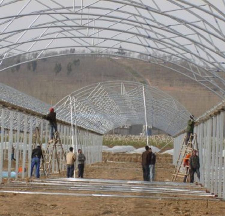 智能连栋温室建造 山东连栋温室