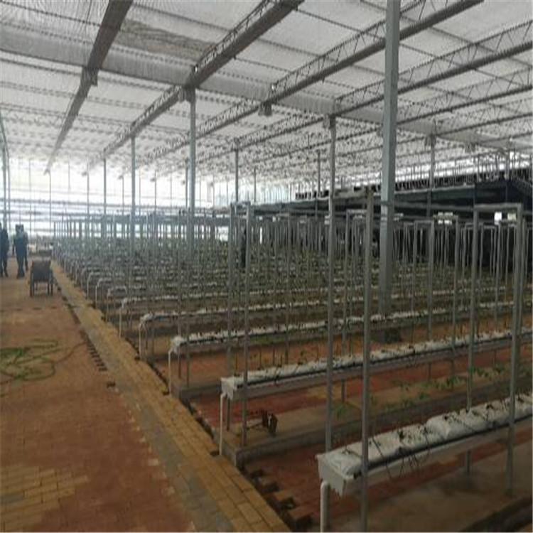厂家销售基质槽种植系统  基质槽种植系统询价