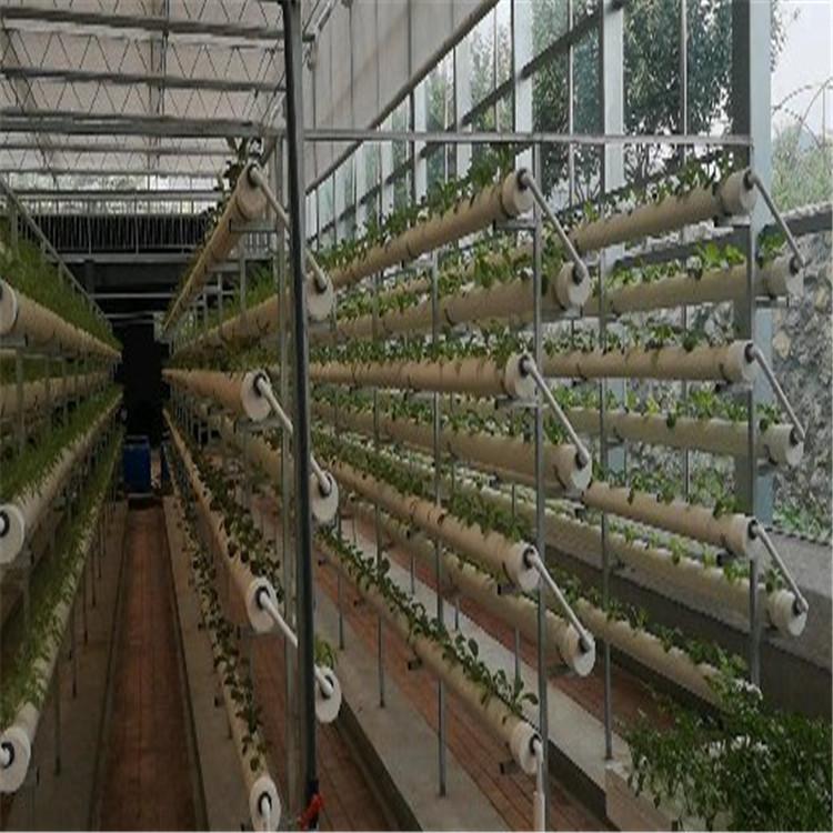 咨询 基质槽果菜种植系统无土栽培  无土栽培技术施工