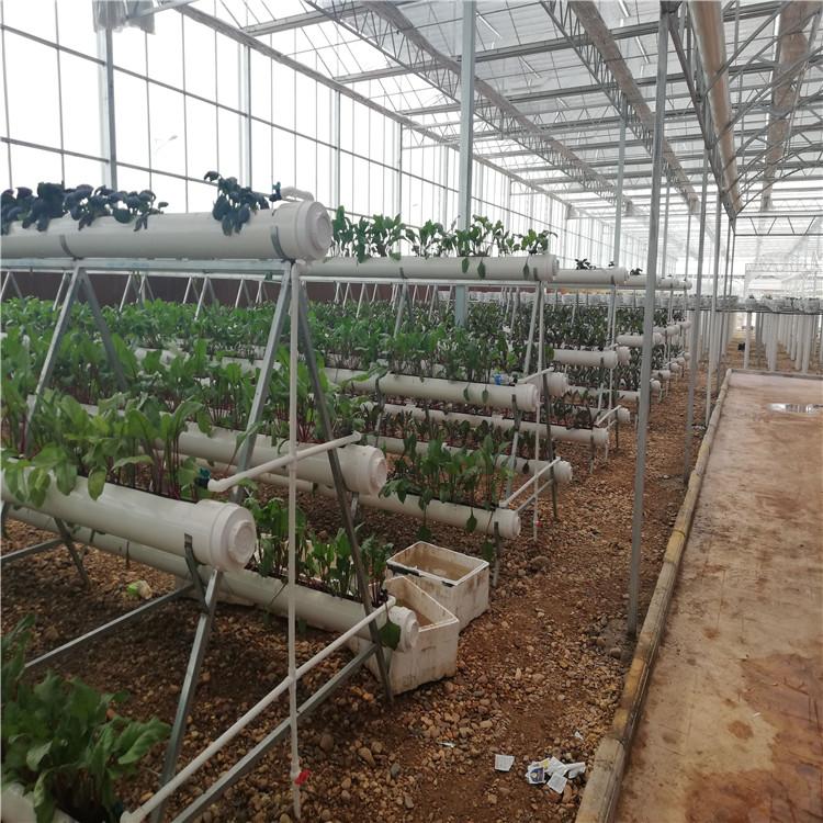 厂家销售种植系统  种植系统知道