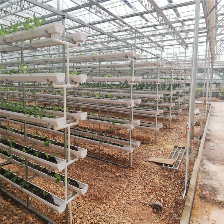 厂家销售 基质槽种植系统  无土栽培种植设备