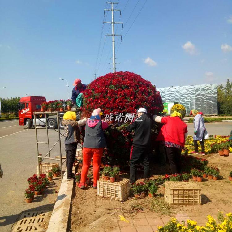 湖南 立体花架  简易花球 景观花坛 花球  景区公园 街道道路 广场观赏  制作厂家