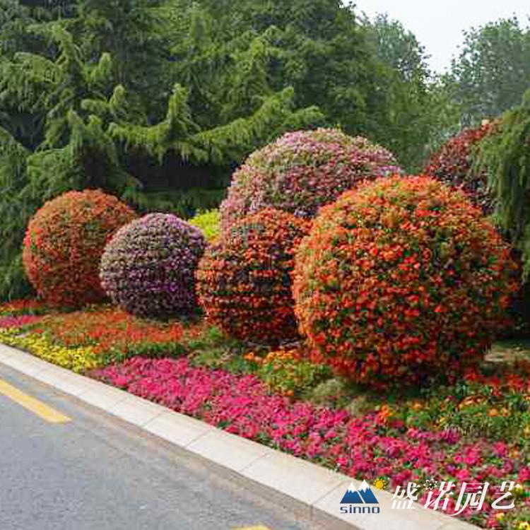 节日 庆典 国庆节 立体花架  简易花球 景观花坛 花球  景区公园 街道道路 广场观赏  批发厂家