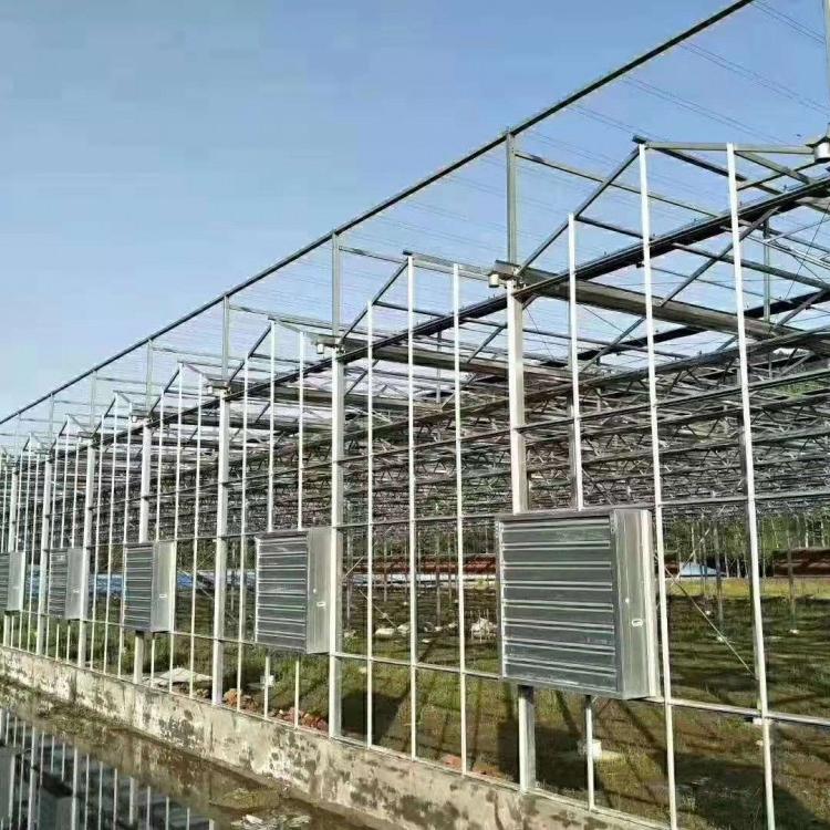 云南连栋玻璃温室大棚造价