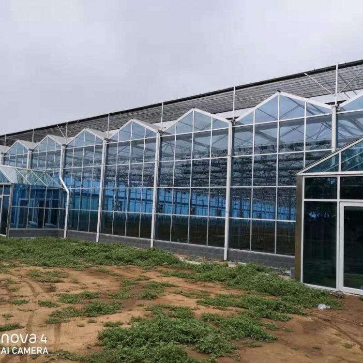 河南无土栽培温室工程报价