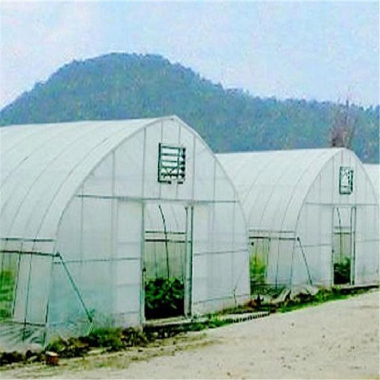 智能温室  青州智能温室  智能温室销售商