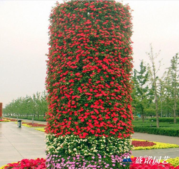 节日 庆典 国庆节 园艺景观 花球 花球骨架  铁艺花柱 铁艺花树 铁艺蘑菇  价格