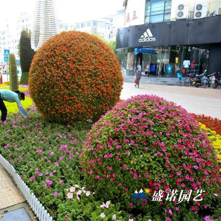 节日 庆典 国庆节 立体花球 造型景观 园艺花球  铁艺花拱 心形拱门 铁艺花瓶  直销