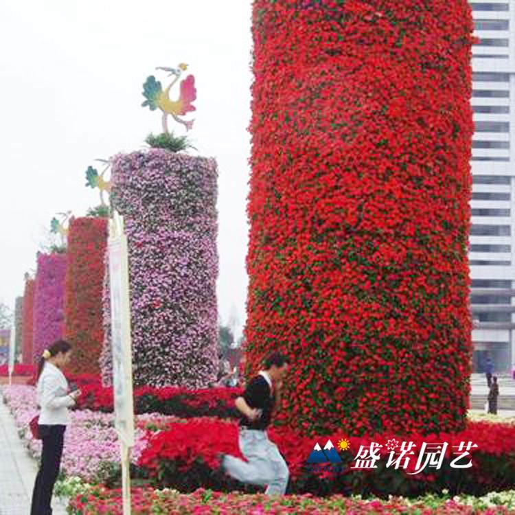 节日 庆典 国庆节 铁艺花柱花球 黑色花球 真花花球  景区公园 街道道路 广场观赏  批发厂家