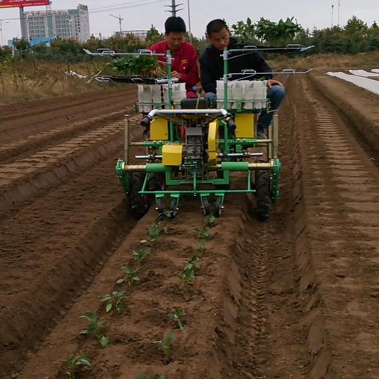 辣椒移栽机 华龙移栽机 多功能蔬菜移栽机 致电商家