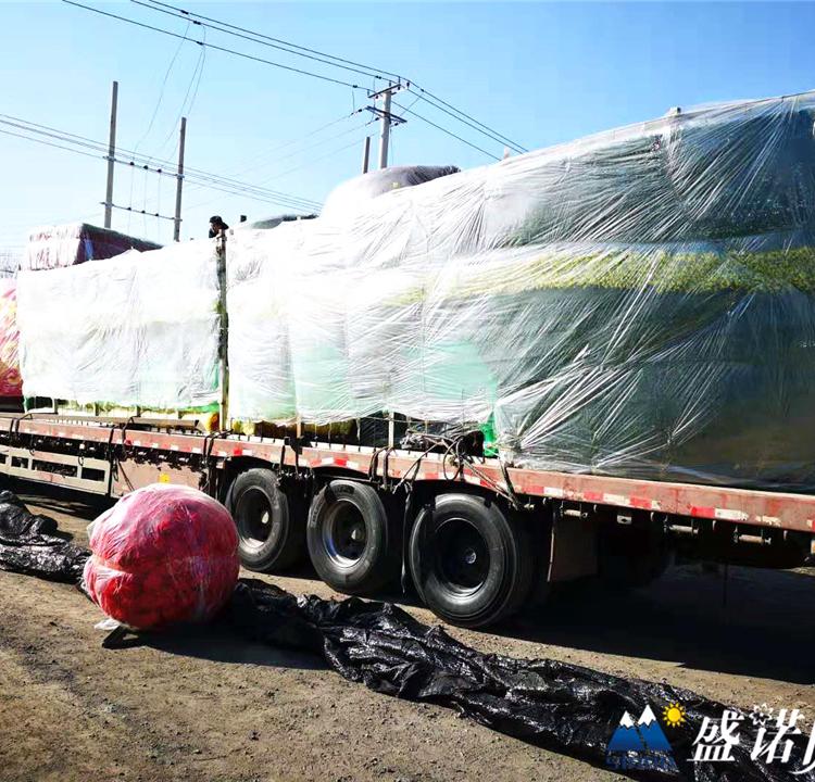 国庆绿雕 主题造型绿雕设计制作安装 承接节日庆典绿雕 绿雕工艺品设计制作