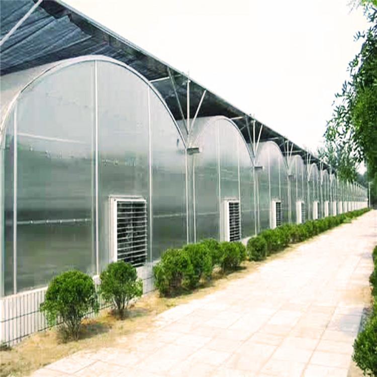 安阳连栋温室大棚 玻璃温室大棚 阳光板温室 热镀锌骨架 蔬菜大棚 养殖大棚 畜牧业大棚 西瓜大棚 草莓大棚质优价廉
