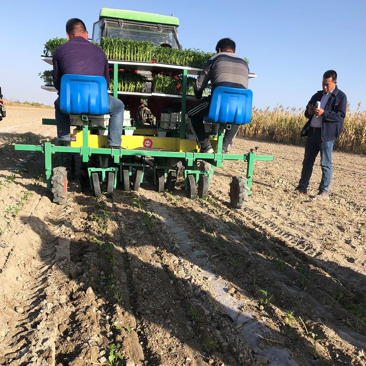 甜叶菊移栽机 华龙移栽机 移栽机厂家报价