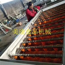 供应不锈钢毛刷式海蛎子清洗机-大型牡蛎清洗设备-现货生锈包退