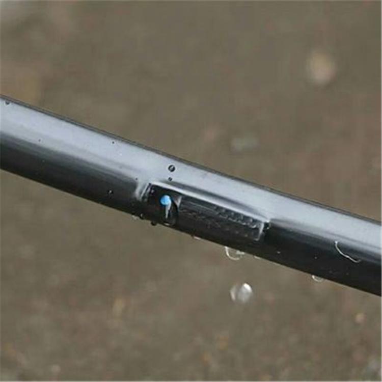 省水省时的贴片滴灌带 贴片滴灌带厂家 金海雨为您服务