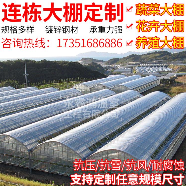 商丘蔬菜大棚 养殖大棚  连栋温室大棚-简易大棚-花卉大棚规格齐全