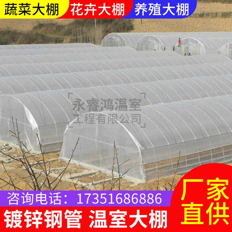 信阳厂家直销新型草莓连体大棚葡萄大棚 草莓大棚来图定制 种植养殖连体大棚质优价廉