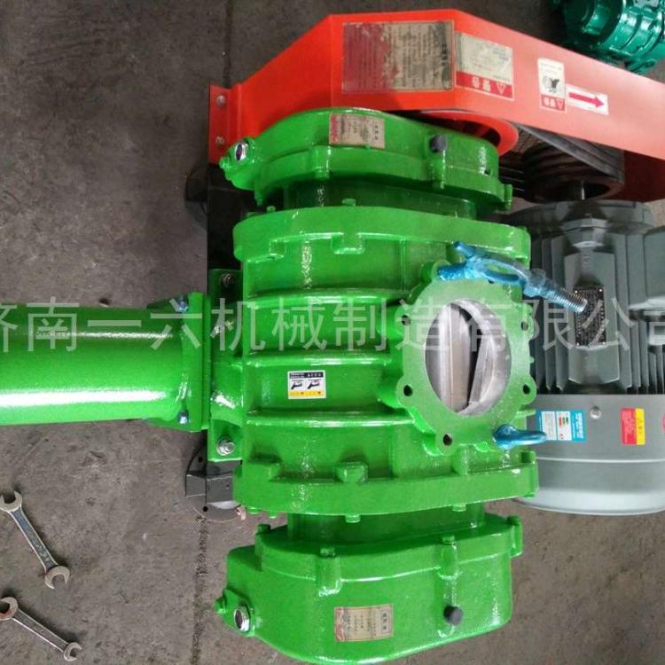 双油箱煤气输送三叶罗茨鼓风机电厂专用三叶罗茨风机回转式鼓风机厂家