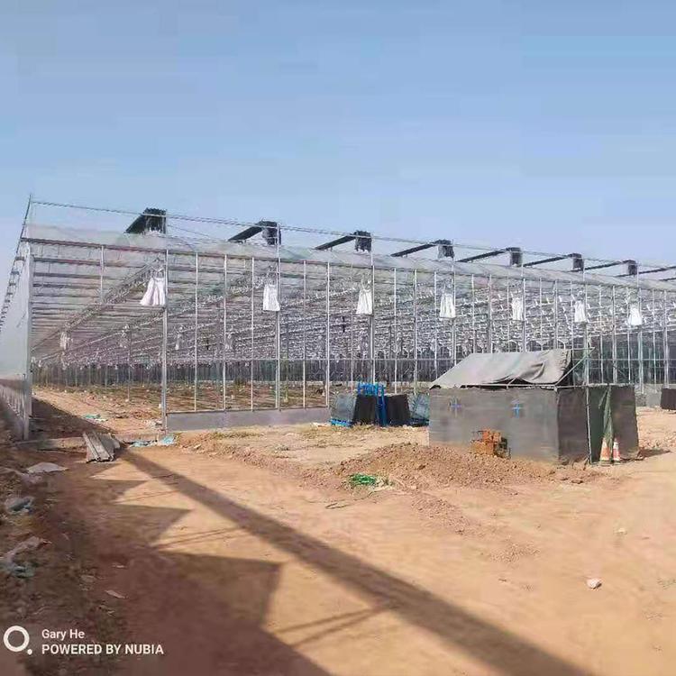 河北玻璃温室 日光玻璃温室建造商 建设安装智能玻璃温室