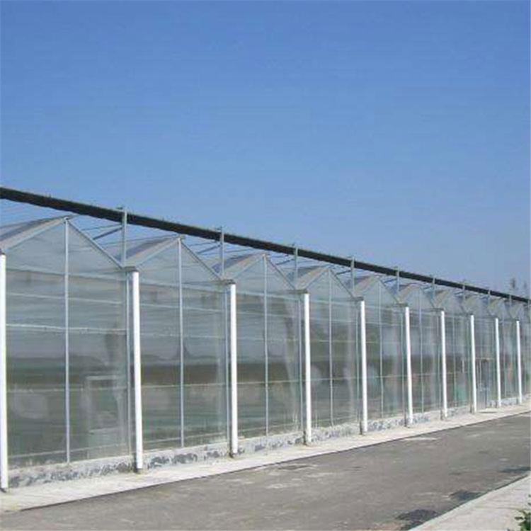 河北玻璃温室 小型玻璃温室安装 建设安装玻璃温室大棚