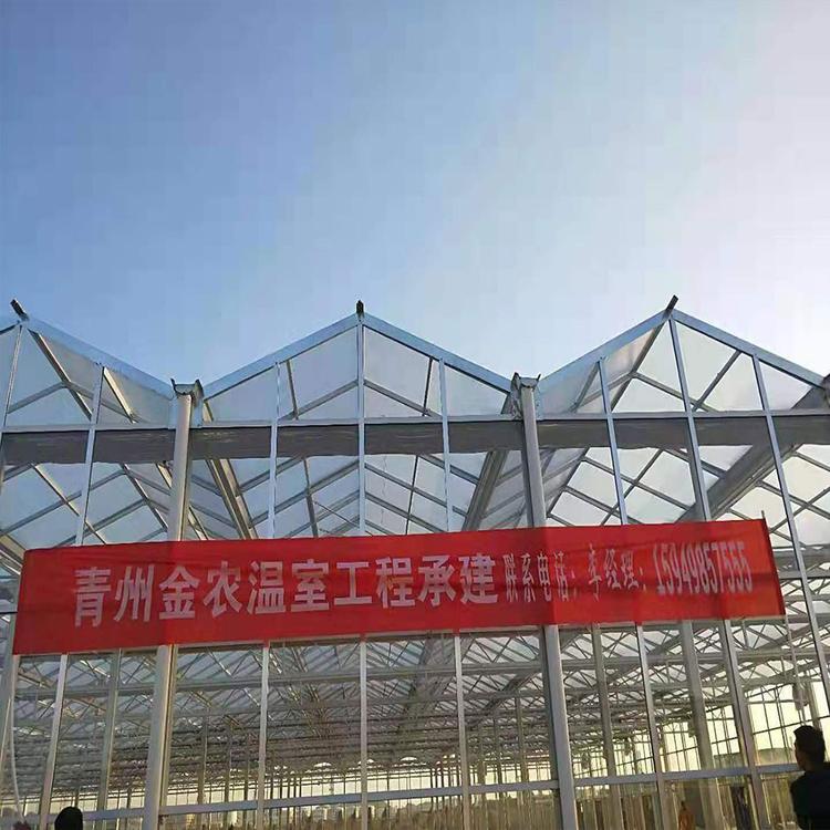 建造方案 玻璃温室大棚 小型玻璃温室安装 山东玻璃日光温室