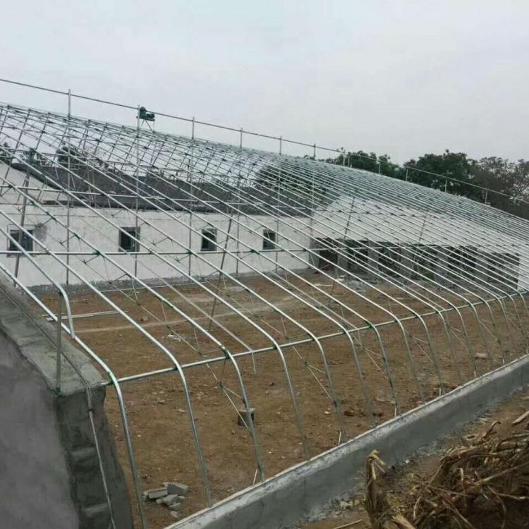 蔬菜大棚  生态采摘大棚 蔬菜大棚建设