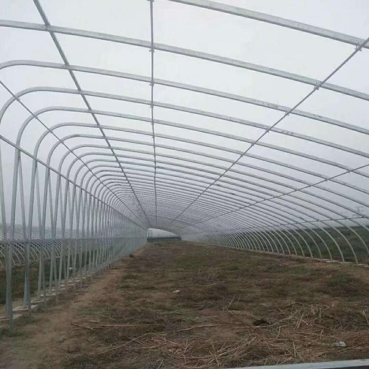 春秋拱棚 春秋大棚 蔬菜适用春秋棚