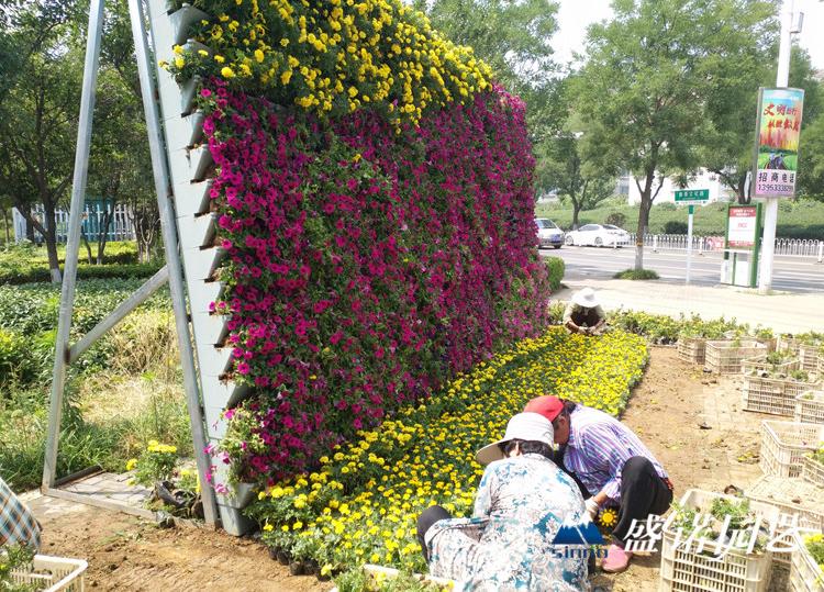 梯形花盆 园艺景观花盆 工程PP盆 梯形立体花盆 PP梯形盆  直销