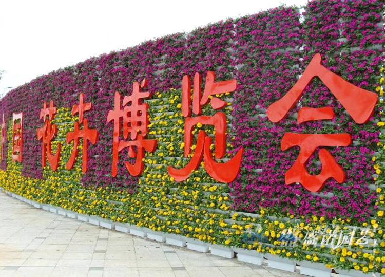 园艺景观花盆 梯形花盆 园艺景观PP盆工PP盆 优惠处理