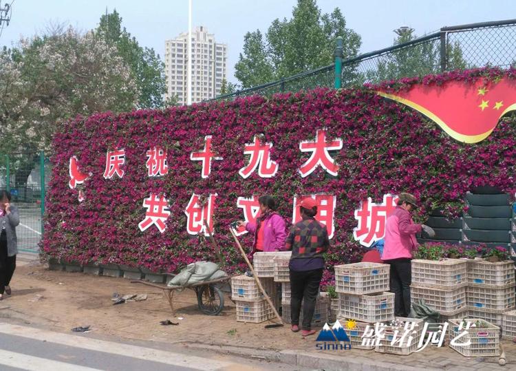 梯形花盆 园艺景观花盆 工程PP盆 花墙梯形盆 梯形组合花盆  制作厂家