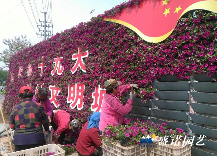 梯形花盆 园艺景观花盆 工程PP盆 梯形盆 花墙盆 直销