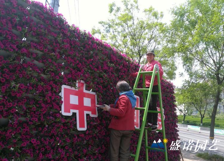 梯形花盆 园艺景观花盆 工程PP盆 花墙梯形盆 梯形组合花盆 制作厂家