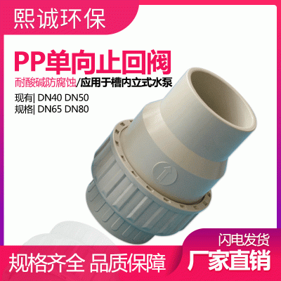 熙诚 止回阀 耐腐蚀耐酸碱 喷淋塔水泵连接用PP单向止回阀