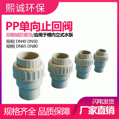 熙诚喷淋塔用 止回阀 耐腐蚀耐酸碱 PP单向止回阀 废气处理设备配件
