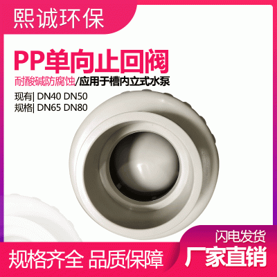 熙诚牌 喷淋塔水泵 止回阀 PP单向止回阀 废气处理设备专用配件